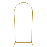 Arco Para Bexiga Festa