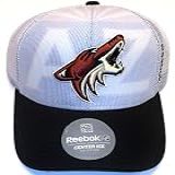 Arizona Coyotes Draft Structured
