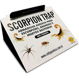 Armadilha Adesiva Escorpião C  20 Scorpion Trap Colly