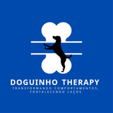 Aromaterapia Para Cães E Adestramento Para Cães