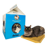 Arranhador Gato Casinha Brinquedo