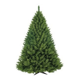 Árvore De Natal Bavarian Pine 878 Galhos 2 10m