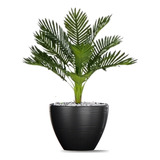 Planta