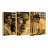 As Obras De Irwin Allen Volumes 1, 2 E 3 - 3 Boxes Duplos 