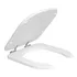 Assento Sanitario Poliester Vogue Plus Ap52.17 Branco Deca