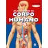 Atlas Ilustrado Do Corpo Humano, De Cerqueira, Esem. Corpo Humano Editorial Ciranda Cultural Editora E Distribuidora Ltda. Em Português, 2005