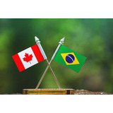 Aulas Particulares De Inglês