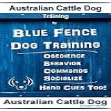 Australian Cattle Dog Training