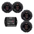 Auto Falante Selenium Jbl Porta 320w+modulo Potencia Stetsom