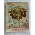 Aventuras Heroicas Nº 3 Editora La Selva Jun 1954 Capa Jayme Cotez
