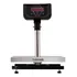 Balança Digital Plataforma Inox Até 60kg Divisão 10g