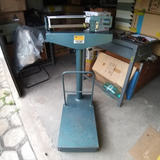 Balança Industrial Mecânica 300kg Welmy R 104 Usado