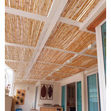 Bambu Tratado  
