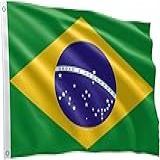 Bandeira Brasil Oficial 1