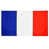 Bandeira Da França Oficial 1 50 X 0 90 Mts 100  Poliéster