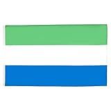 Bandeira De Serra Leoa