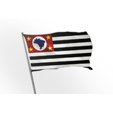 Bandeira Estado De Sao
