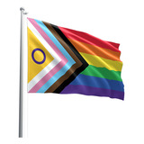 Bandeira Lgbtqiapn Em Tecido