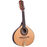 Bandolim Rozini Rb22 Ac n j Profissional