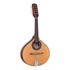 Bandolin Rozini Rb21 Ac f i Acústico Fosco