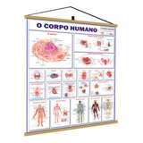 Banner Corpo Humano Sistemas