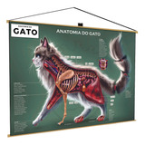 Banner Gato Cat Pet