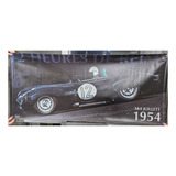 Banner Vinil Shelby Cobra