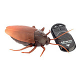 Barata Gigante Robo Controle