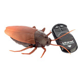 Barata Gigante Robo Controle