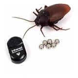 Barata Gigante Robo Controle