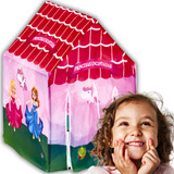 Barraca Infantil Tenda Princesas