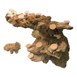 Base Para Coral Kit