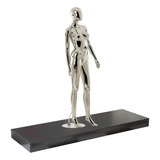 Base Tablado Para Manequim Loja Expositor Vitrine 1 50m Klithovit Decor Cor Preto