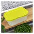 Basic Line Tupperware