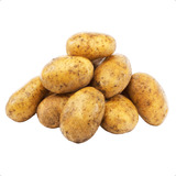 Batata Da Terra Branca
