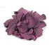 Batata Doce Roxa Desidratada Chips (assada) 250g Mega Oferta