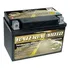 Bateria Kawasaki Ninja 250 300 400 Zx-9r Z800 Z1000 Ytx9-bs