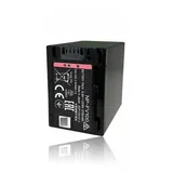 Bateria Np fv100 Para