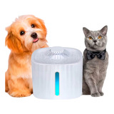 Bebedouro Fonte Agua Gato