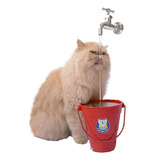 Bebedouro Fonte Gatos Torneira
