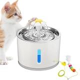 Bebedouro Para Gatos Fonte