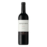 Benjamin Nieto Senetiner Malbec