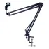 Bestweei Bw 35 Suporte Braço Preto 80cm