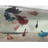 Betta Fêmea 10 Unidades   Cores Sortidas    Brinde