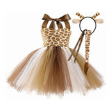 Bh Conjunto De Ballet