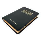 Biblia De Estudo Despertar