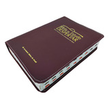 Biblia De Estudo Despertar