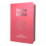 Biblia Em Espanhol Santa
