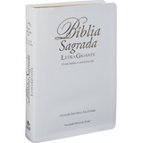 Biblia Letra Gigante Versao