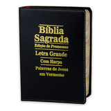Biblia Letra Grande